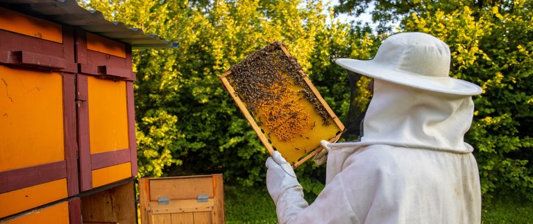 Keeping Swarm From Leaving?
