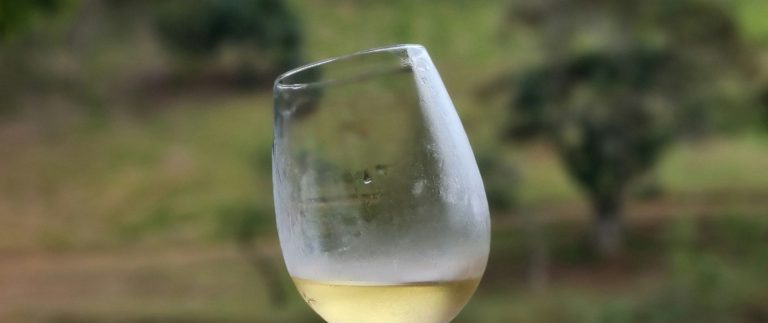 Exploring the Art of Winemaking: From Vineyard to Wine Glass