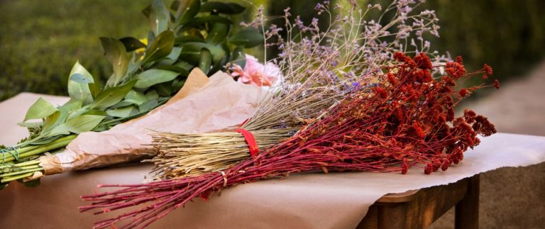 Father’s Day: The perfect gift to say “thank you”