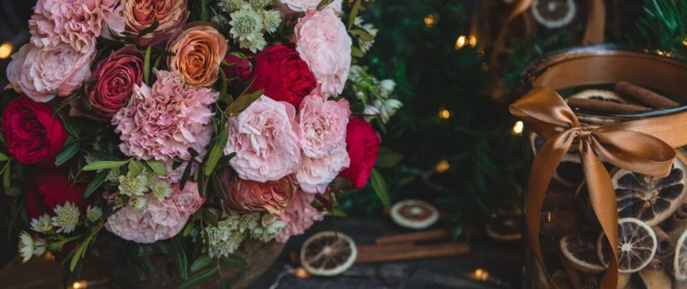 How to Care for Your Houseplants Like a Pro