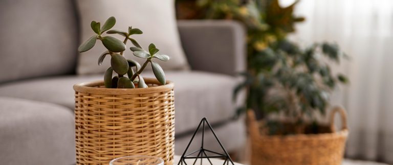The Best Large Round Mirrors
