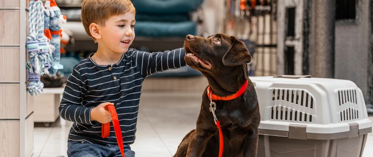 Possessing a dog has mental health benefits