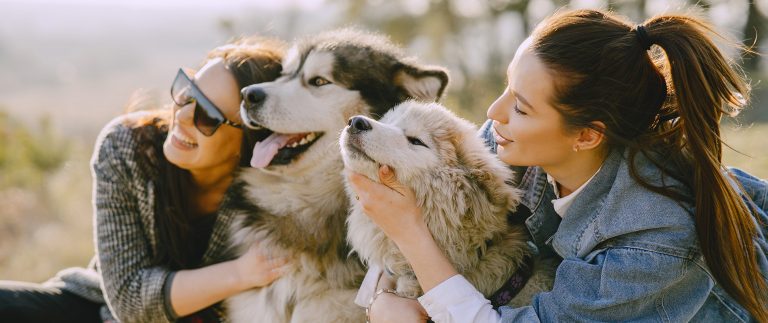 Positives and negatives of keeping a dog as a pet