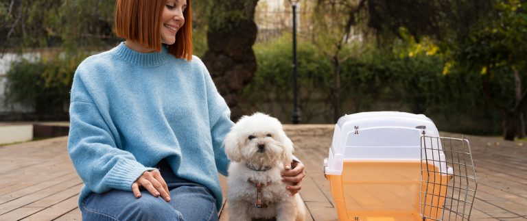 Advice for the initial 30 days after adopting a dog