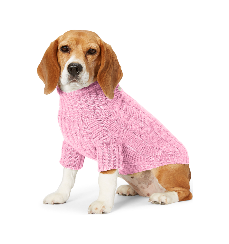 Pet Cloth