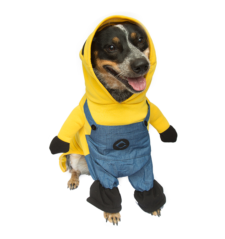 Dog Toy